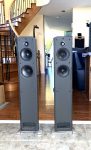 Focal Sib XXL