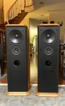 Attractive, Classic PSB Towers in Honey Oak Stratus