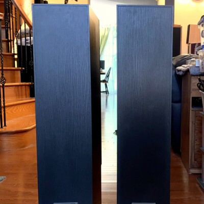 PSB Image 5T towers — rear view showing the binding posts