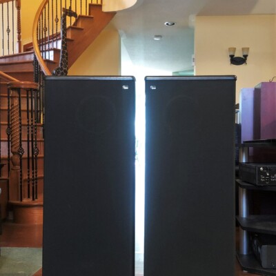 Impressive Vintage DCM Timeframe Floor-Standers TF350