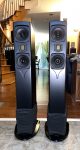 Impressive Current Model Goldenear Floorstanders Triton 7 *REDUCED*