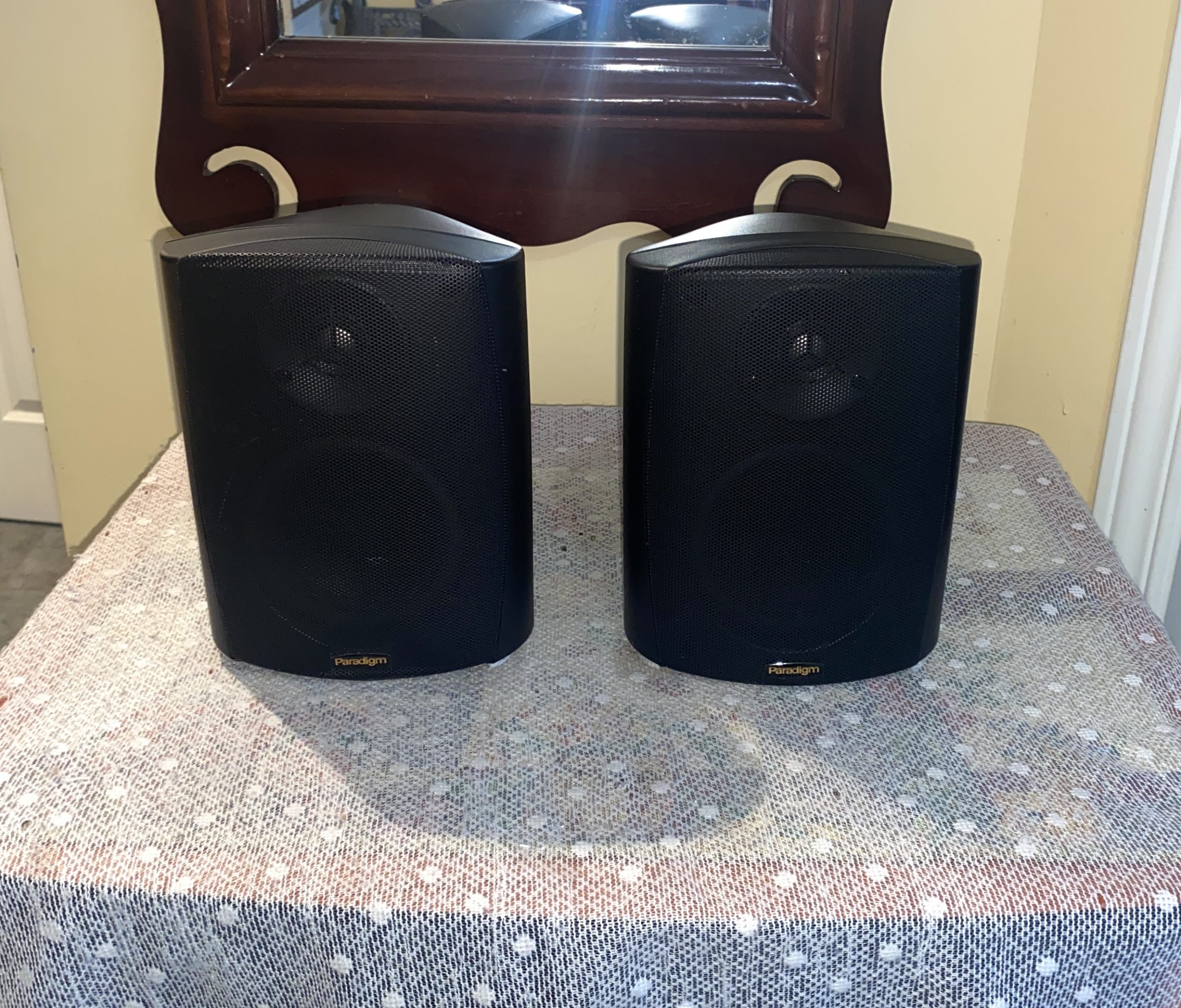 Paradigm Indoor Outdoor Speakers w Metal Grills Stylus 100 1 Paradigm Indoor / Outdoor Speakers w/ Metal Grills Stylus 100 - Image 1