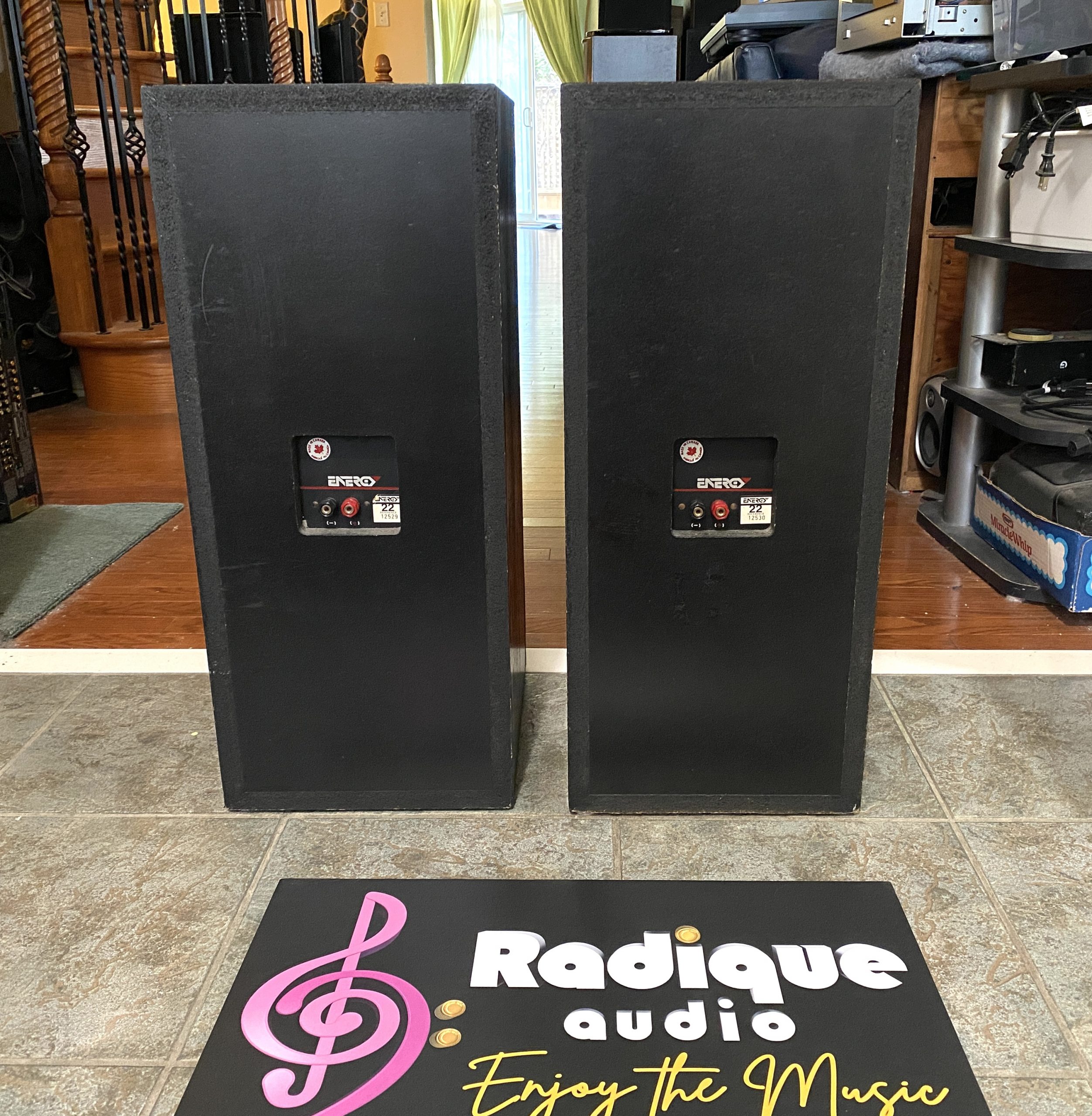 Legendary Canadian Energy Bookshelf Speakers 22 Reference