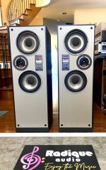 Large, Highly Efficient Paisley Monitor Towers SPL 3000