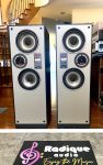 Large, Highly Efficient Paisley Monitor Towers SPL 3000