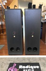 Large, Highly Efficient Paisley Monitor Towers SPL 3000 - Image 4