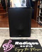 Very Musical 12" Premier Acoustic Subwoofer PA-120SUB - Image 5
