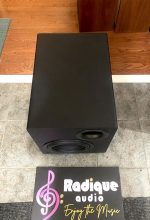 Exceptional SVS 10" Subwoofer 18 Hz, 60lbs PB10-NSD - Image 5