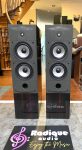 Gorgeous Energy Connoisseur Tower Speakers in Rosewood C-6