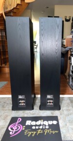 Large, Beautiful Paradigm Tower Speakers Monitor 9 v3 - Image 5