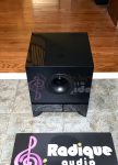 Energy ESW-8 200 Watt Powered Subwoofer