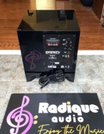 Energy ESW-8 200 Watt Powered Subwoofer - Image 4