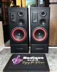 Cerwin Vega E-310 Towers – 95dB, 10″ 3-Way, USA-Made, Refoamed