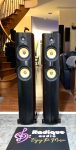 PSB Imagine T Tower Speakers – Gorgeous Dark Cherry Finish