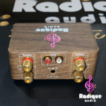 RA-Mini: Compact Class D Amplifier – Tiny but Mighty | Radique - Image 8
