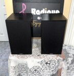 Paradigm Titan v4 Bookshelf Speakers — Made in Canada, Black Ash