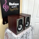 Paradigm Mini Monitor v3 Bookshelf Speakers Dark Cherry, Canada - Image 3