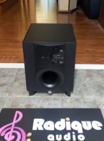 Athena Point 5N (P.5) Compact 8" Downward Firing Subwoofer