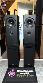 Definitive Technology BP-10 4-Driver Bipolar Towers — USA-Built