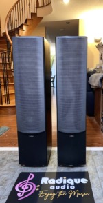 Infinity Beta 40 towers with grilles fitted