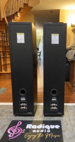 Infinity Beta 40 towers — rear view showing the port and binding posts