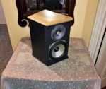 Single Paradigm 4-Driver, 2-Way Dipole Speaker ADP-170 v4