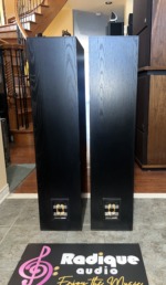 Paradigm Studio 60 v1 Reference towers, pair — rear panels with bi-wire binding posts