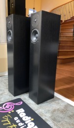 Totem Sttaf floorstanding speakers, pair — angled view showing the tweeter, mid-woofer and cabinet profile