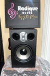 Mirage LF-150 10" Powered Subwoofer – 600W Peak, Made in Canada