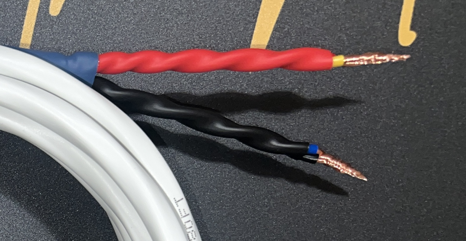 Bare wire speaker cable termination by Radique Audio — twisted conductors under red and black heat-shrink with a blue collar at the jacket breakout