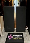Pair of tall DCM TimeFrame TF350 tower speakers in black with full-length cloth grilles, standing straight on