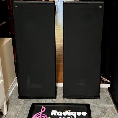 Pair of tall DCM TimeFrame TF350 tower speakers in black with full-length cloth grilles, standing straight on