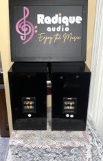 Rear of the Energy Connoisseur C-2 pair in high gloss black, each with a recessed terminal cup holding gold-plated binding posts and a model label