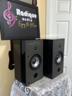 Side view of the Energy Connoisseur C-2 pair, the piano-gloss black side panel reflecting the room beside the grille-off woofer and tweeter