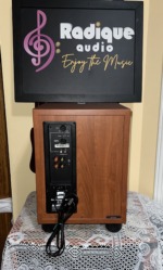 Rear of the JBL Northridge E150P, with level, crossover and phase controls, line and speaker-level inputs and power switch