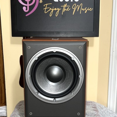 JBL Northridge E150P powered subwoofer from the front, grille off, 10 inch woofer on a grey baffle in a cherry cabinet