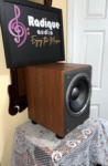 JBL Northridge E150P subwoofer at an angle, cherry side panel and the exposed 10 inch driver on the front baffle