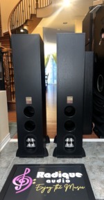 Rear of the Klipsch RF-62 towers showing the twin bass ports, the Klipsch spec label and the binding posts at the base