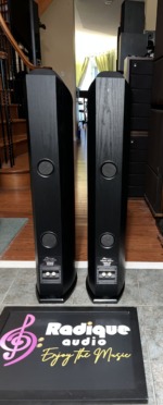 Rear of the Mirage OMNI 350 towers showing the Omni Series labels, ports and gold binding posts