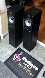 Monitor Audio Bronze 3 Towers — Shot-Loaded, Made in England - Image 3