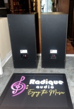 Rear of the PSB 50 MkII pair in black ash, each cabinet with a small speaker terminal plate low on the back panel