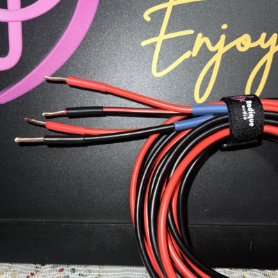 Close-up of the Radique house CCA speaker cable ends, red and black leads with the bare copper-clad wire exposed