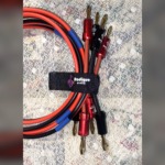 Pair of 3' 12 AWG Radique Speaker wires with Banana Plugs