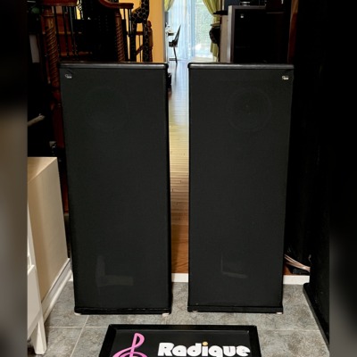 Pair of tall DCM TimeFrame TF350 tower speakers in black with full-length cloth grilles, standing straight on