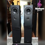 Definitive Technology BP-10 towers with the grille socks rolled down, showing the forward-facing bass/midrange driver and tweeter on each.