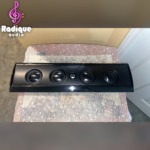 Definitive Technology 5-Driver Wall-mount Speaker XTR-40