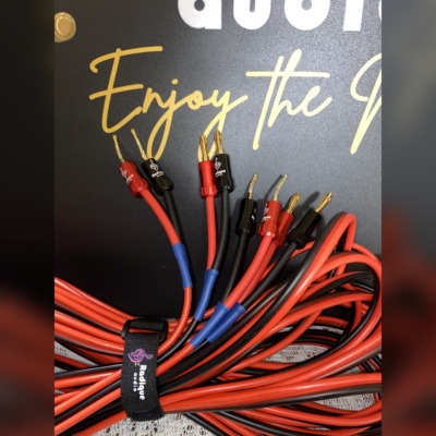 Close-up of custom 25 foot speaker cables with red and black 12 AWG wire, terminated with gold plated Radique Audio banana plugs and flexible pin connectors, hand assembled in Canada with color coded shrink tubing.