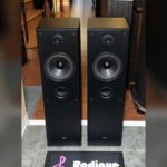 Pair of JVC SP-5500 tower speakers in black woodgrain, grilles off, showing the dome tweeter, large woofer and front bass port