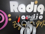Close-up of the Linn K20 speaker cable ends with gold banana plugs and red and black collars in front of the Radique Audio board