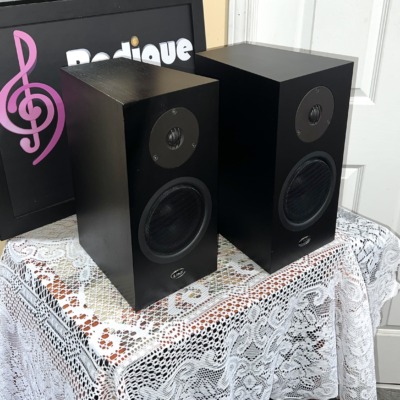 Linn Katan bookshelf speakers in black ash seen at an angle, a staggered pair showing the cabinet sides, tweeters and mid/bass drivers